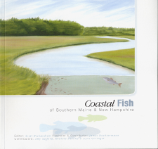 Coastal Fish of Southern Maine and New Hampshire