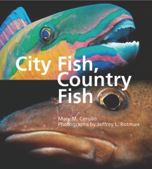 City Fish, Country Fish, a Great Book for Kids