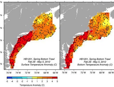 Climate change changing Gulf of Maine fisheries