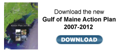 Gulf of Maine Action Plan