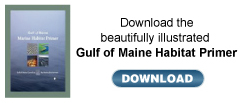 Gulf of Maine Habitat Primer