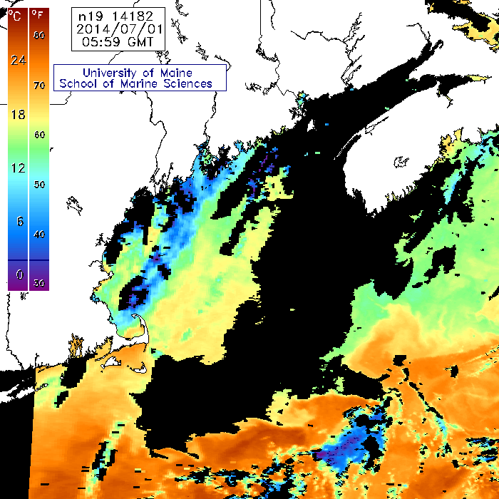 Past daily satellite images of Gulf of Maine sea-surface temperature